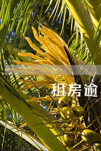 租房逾期不搬后果 租房逾期不搬后果