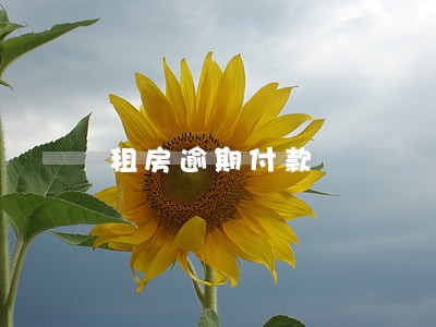 租房逾期付款 租房逾期付款