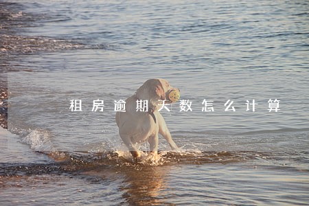 租房逾期天数怎么计算 租房逾期天数怎么计算