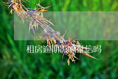 租房逾期影响征信吗 租房逾期影响征信吗