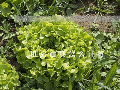 租房逾期怎么计算 租房逾期怎么计算