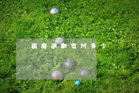 租房逾期支付多少 租房逾期支付多少