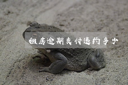 租房逾期支付违约多少 租房逾期支付违约多少
