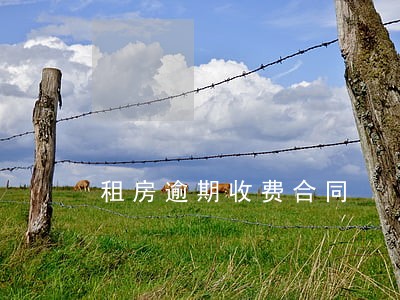 租房逾期收费合同 租房逾期收费合同