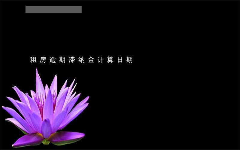租房逾期滞纳金计算日期 租房逾期滞纳金计算日期