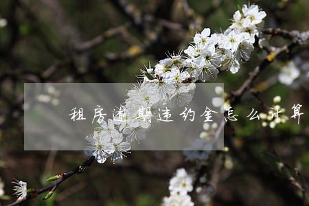 租房逾期违约金怎么计算 租房逾期违约金怎么计算