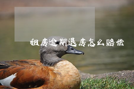 租房逾期退房怎么赔偿 租房逾期退房怎么赔偿