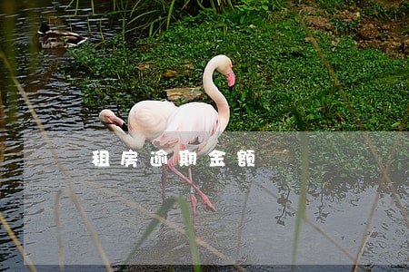 租房逾期金额 租房逾期金额