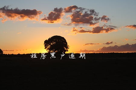 租房黑户逾期 租房黑户逾期