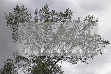 租手机充电宝逾期扣费如何申诉 租手机充电宝逾期扣费如何申诉