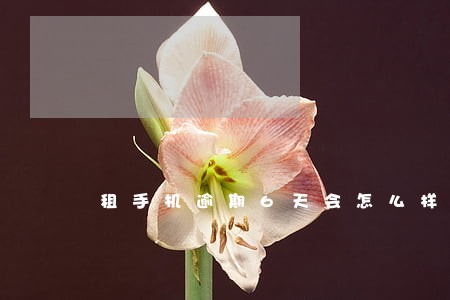 租手机逾期6天会怎么样 租手机逾期6天会怎么样