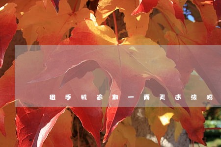 租手机逾期一两天违法吗 租手机逾期一两天违法吗
