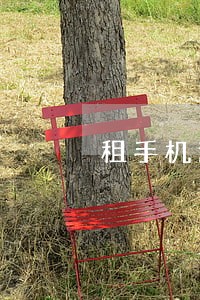 租手机逾期一年了 租手机逾期一年了