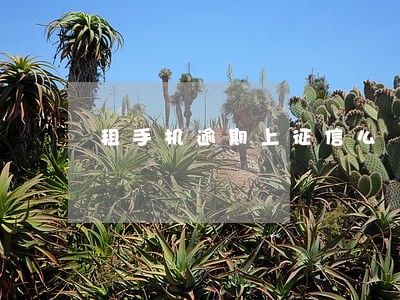 租手机逾期上征信么 租手机逾期上征信么