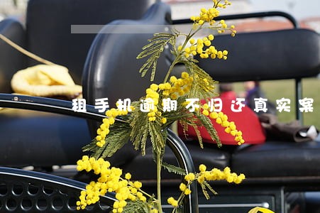 租手机逾期不归还真实案例 租手机逾期不归还真实案例