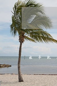 租手机逾期了八天 租手机逾期了八天