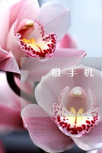 租手机逾期后被申请仲裁 租手机逾期后被申请仲裁