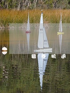 租手机逾期咋办 租手机逾期咋办