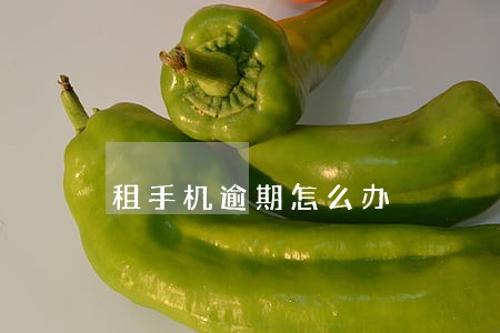 租手机逾期怎么办 租手机逾期怎么办