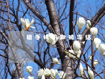 租手机逾期被冻结 租手机逾期被冻结