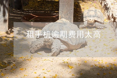 租手机逾期费用太高 租手机逾期费用太高