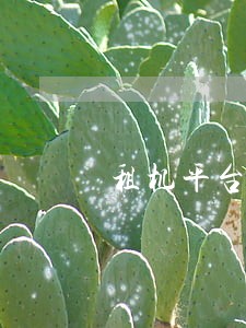 租机平台不逾期会起诉吗 租机平台不逾期会起诉吗
