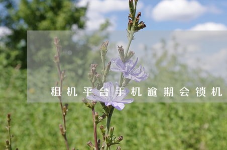 租机平台手机逾期会锁机吗 租机平台手机逾期会锁机吗