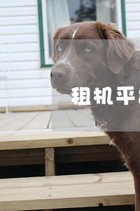 租机平台逾期协商 租机平台逾期协商