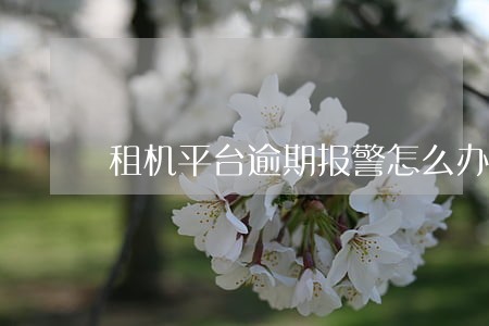 租机平台逾期报警怎么办 租机平台逾期报警怎么办