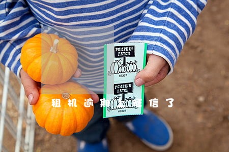 租机逾期上征信了