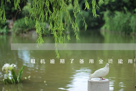 租机逾期了备用金还能用吗 租机逾期了备用金还能用吗