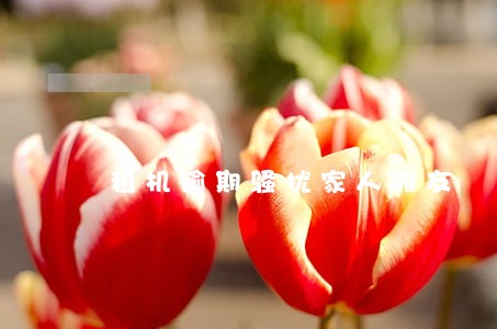 租机逾期骚扰家人朋友 租机逾期骚扰家人朋友