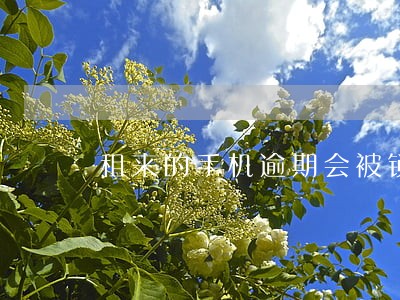 租来的手机逾期会被锁机吗 租来的手机逾期会被锁机吗
