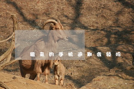 租来的手机逾期会锁吗 租来的手机逾期会锁吗