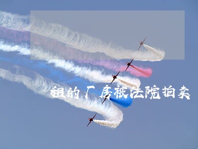 租的厂房被法院拍卖 租的厂房被法院拍卖