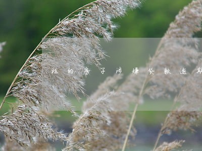 租的房子涉嫌贷款逾期 租的房子涉嫌贷款逾期