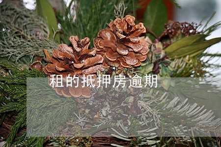 租的抵押房逾期 租的抵押房逾期