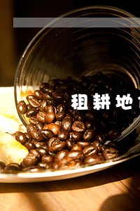 租耕地储存砖违法吗 租耕地储存砖违法吗