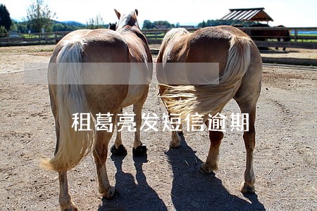 租葛亮发短信逾期
