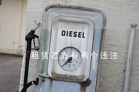 租赁乙方有两个违法 租赁乙方有两个违法