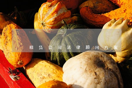 租赁公司法律顾问方案 租赁公司法律顾问方案