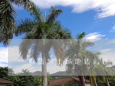 租赁到土场地转运违法吗 租赁到土场地转运违法吗