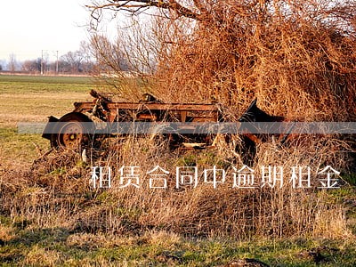 租赁合同中逾期租金 租赁合同中逾期租金