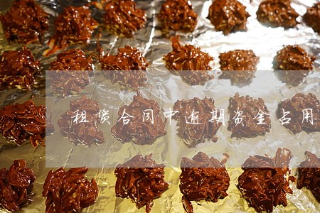 租赁合同中逾期资金占用费 租赁合同中逾期资金占用费