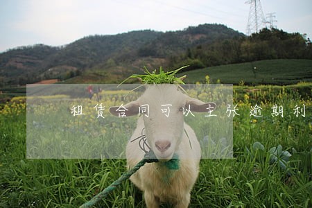 租赁合同可以主张逾期利息吗 租赁合同可以主张逾期利息吗