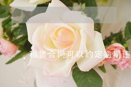 租赁合同可以约定逾期违约金吗 租赁合同可以约定逾期违约金吗