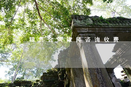 租赁合同律师咨询收费 租赁合同律师咨询收费