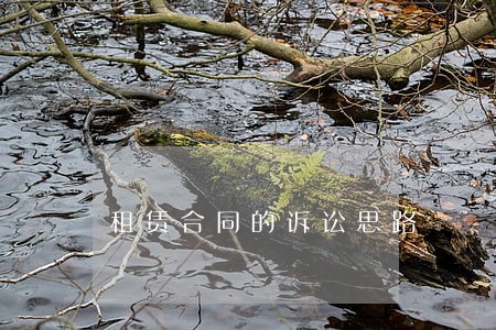 租赁合同的诉讼思路 租赁合同的诉讼思路