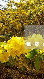 租赁合同纠纷主张逾期利息 租赁合同纠纷主张逾期利息