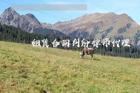 租赁合同纠纷律师代理 租赁合同纠纷律师代理